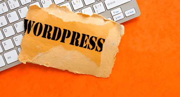 I will create Professional WordPress Website